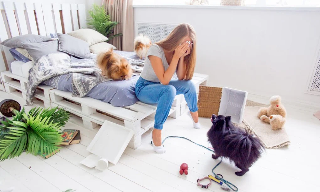 Style for Your Soulful Companion